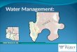 Water Resources 101 TOOLS Water Management:. Water Resources 101 Water Sources Groundwater Surface Water Effluent
