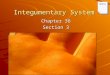 Integumentary System Chapter 36 Section 3 Notes. Keys Lecture Outline – Integumentary System PowerPoint Notes textbook questions