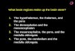What brain regions make up the brain stem? 1.The hypothalamus, the thalamus, and the pons 2.The diencephalon and the mesencephalon 3.The mesencephalon,