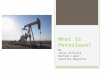 What is Petroleum? By Jesse Villella Destani Lopez Jennifer Magnotta