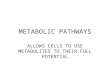 METABOLIC PATHWAYS ALLOWS CELLS TO USE METABOLITES TO THEIR FULL POTENTIAL