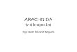 ARACHNIDA (arthropoda) By Dan M and Myles. Characteristics of Arachnids Kingdom: Animalia Phylum: Arthropoda Class: Arachnida