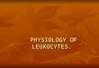 PHYSIOLOGY OF LEUKOCYTES.. Function of leukocytes 1. Protective 1. Protective 2. Transport 2. Transport 3. Metabolic 3. Metabolic 4. Regenerator 4. Regenerator