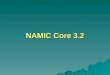 NAMIC Core 3.2. Opportunity & Challenges  Develop methods for combining imaging and genetic data: imaging genetics links two distinct forms of data