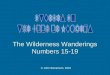© John Stevenson, 2010 The Wilderness Wanderings Numbers 15-19
