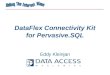DataFlex Connectivity Kit for Pervasive.SQL Eddy Kleinjan