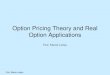 Prof. Martin Lettau 1 Option Pricing Theory and Real Option Applications Prof. Martin Lettau