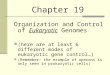 Chapter 19 Organization and Control of Eukaryotic Genomes (here are at least 6 different modes of eukaryotic gene control) (Remember: the example of operons