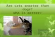 Are cats smarter than dogs? Who is better? Урок формирования грамматических навыков. 4 класс Учитель английского яз. МБОУ