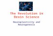 The Revolution in Brain Science Neuroplasticity and Neurogenesis
