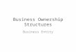 Business Ownership Structures Business Entity. Most Common 1)Sole Proprietorship 2)Partnership 3)Limited Partnership 4)Limited Liability Company (LLC)