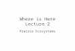 Where is Here Lecture 2 Prairie Ecosystems. The Urban Savannah Frontiers of the Prairie –Frank Lloyd Wright’s Prairie Skyscraper, Price Tower Arts center