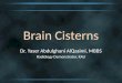 Brain Cisterns Dr. Yaser Abdulghani AlQasimi, MBBS Radiology Demonstrator, KAU