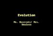 Evolution Ms. Bosinski/ Mrs. Newlove. Evolution Evolution-The process by which species change over time, or become extinct. Species-All the organisms
