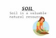 SOIL Soil is a valuable natural resource.. Why? Because everything that lives on land depends on soil. People & animals eat food that grows in soil. Plants