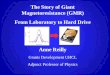 The Story of Giant Magnetoresistance (GMR) From Laboratory to Hard Drive Anne Reilly Grants Development UHCL Adjunct Professor of Physics