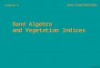 CHAPTER 9 Band Algebra and Vegetation Indices BAND TRANSFORMATIONS A. Dermanis
