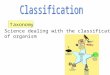 Science dealing with the classification of organism axonomy T
