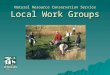 Natural Resource Conservation Service Local Work Groups