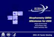 2004 All Hands Meeting Morphometry BIRN: Milestones for 2005 Jorge Jovicich PhD Steve Pieper, PhD David Kennedy, PhD