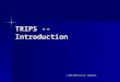TRIPS -- Introduction © 2006-2007 David W. Opderbeck