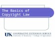 The Basics of Copyright Law. How does copyright pertain to Extension agents? Responsible for making newsletters attractive Pull images from the web to