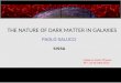 Dec. 1-8, 2010 THE NATURE OF DARK MATTER IN GALAXIES PAOLO SALUCCI SISSA Vistas in Axion Physics INT, 23-26 April,2012
