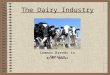 The Dairy Industry By Mr. Weaver Common Breeds in America