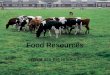 Food Resources What are the Issues?. Types of Agriculture Industrialized –High input –Industrialized countries Plantation –Monoculture for export –Fair