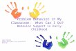 Problem Behavior in My Classroom: What Can I Do? Behavior Support in Early Childhood Lena Stearns Idaho AEYC 2015 Fall Conference 9/12/15