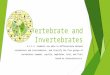 Vertebrate and Invertebrates 4.L.1.2. Students are able to differentiate between vertebrates and invertebrates, and classify the five groups of vertebrates