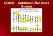 CODIS – Combined DNA Index System. CODIS STRs and Probability STRAfrican American American Caucasian D3513580.0970.080 VWA0.0740.068 FGA0.0360.041 TH010.1140.080