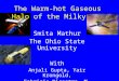 The Warm-hot Gaseous Halo of the Milky Way Smita Mathur The Ohio State University With Anjali Gupta, Yair Krongold, Fabrizio Nicastro, M. Galeazzi