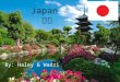 Japan 日本 By: Haley & Wadzi. Statistics 統計 Area-377,944 km² Population-126,659,683 Capital city- Tokyo Official language- Japanese Primary Religion- Shintoism