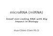 MicroRNA (miRNA) Hua-Chien Chen Ph.D Small non-coding RNA with Big Impact in Biology