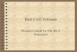 Red Cell Volume Pictorial Guide To The RCV Procedure