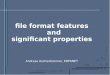 File format features and significant properties Andreas Aschenbrenner, ERPANET