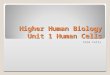 Higher Human Biology Unit 1 Human Cells Stem Cells