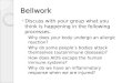 Bellwork Discuss with your group what you think is happening in the following processes. ◦ Why does your body undergo an allergic reaction? ◦ Why do some