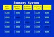 Sensory System $100 $200 $300 $400 $500 $100 $200 $300 $400 $500 $100 $200 $300 $400 $500 $100 $200 $300 $400 $500 $100 $200 $300 $400 $500 Root Word