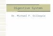 Digestive System Dr. Michael P. Gillespie. Digestion & Absorption  Digestion is the process of breaking down food into molecules that are small enough