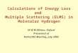 Calculations of Energy Loss and Multiple Scattering (ELMS) in Molecular Hydrogen W W M Allison, Oxford Presented at NuFact02 Meeting, July 2002