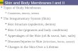 Skin and Body Membranes I and II  Types of Body Membranes  Cutaneous, mucus, serous  The Integumentary System (Skin)  Skin Structure (epidermis, dermis)
