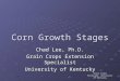 Grain Crops Extension, University of Kentucky Corn Growth Stages Chad Lee, Ph.D. Grain Crops Extension Specialist University of Kentucky