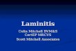 Laminitis Colin Mitchell BVM&S CertEP MRCVS Scott Mitchell Associates
