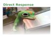 Direct Response. DIRECT-RESPONSE MARKETING COMMUNICATION Key Players The DMC Process
