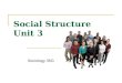 Social Structure Unit 3 Sociology 35G. Social Structure and Status Social Structure The underlying patterns of relationships in a group Status A position