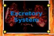 Table of Contents Slide 1. What is the role of the excretory system in the human body: Slide 2. what are the major organs: Slide3: how do theses organs