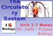 The Circulatory System Unit 1-7 Notes Mr. Hefti – Pulaski Biology