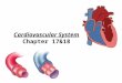 Cardiovascular System Chapter 17&18. Blood Connective tissue composed of fluid, cells, and fragments of cells 1.Plasma: fluid part of blood straw-colored